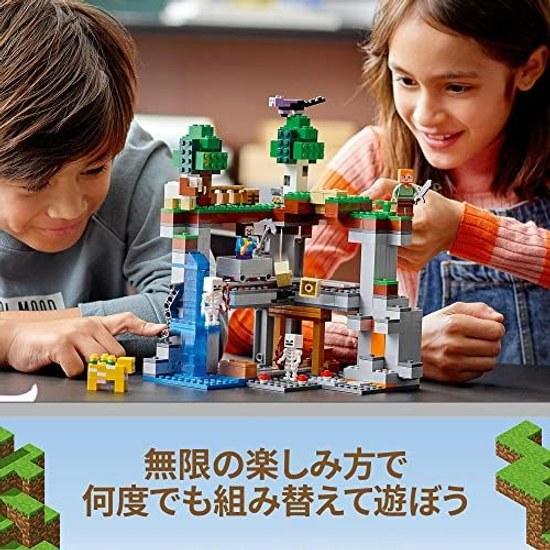 LEGO Minecraft First Adventure 21169 toy video game boys girls 8 years older