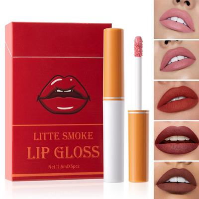 Velvet Lip Gloss Набор из 5 стойких бархатных увлажняющих помад в коробке Элегантный набор помад 2,5 мл