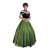 Princess Anna Frozen Cosplay Embroidered Gown Dress