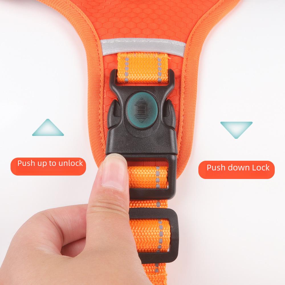 Светоотражающий жилет-шлейка и поводок для крупных собак