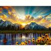 5D DIY Diamond Painting Mountain Flower Mosaic Landscape Full Embroidery Handmade Gift Home Decoration 30x40cm/12x16inch