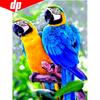 5D DIY Diamond Painting Full Round Animal Embroidery Sale Bird Rhinestone Picture