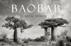 Книга Baobab