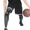 Professional Sports Spring Knee Brace (Pair)