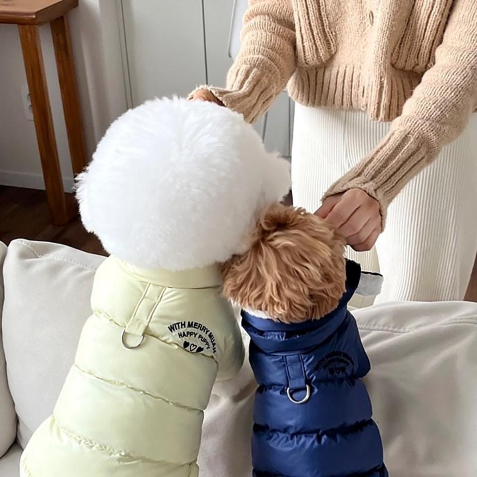 Winter Dog Clothes Pet Thickened Cotton Coat Teddy Letter Print Down Jacket Small Dog Yorkshire Warm Coat XS-XL