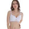 2024 Sexy Bras For Women White Blue Red Pink Black Beige Underwear Plus Size BCDE Cup Bralette Push Up Plus Size Lingerie