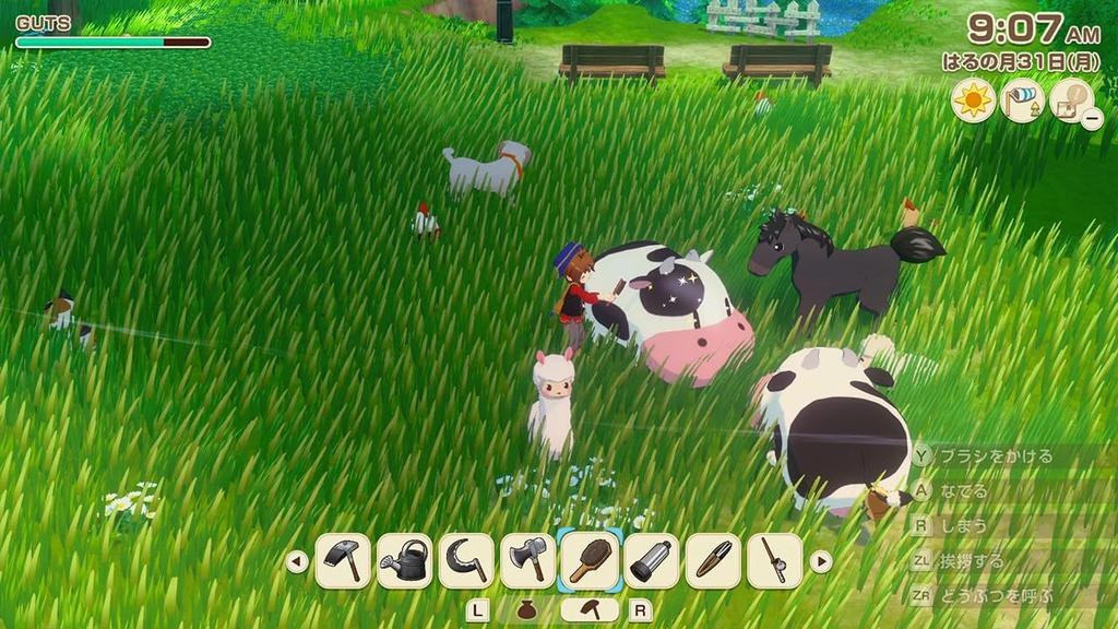 Harvest Moon Grand Bazaar of the Wind Switch Давайте! -