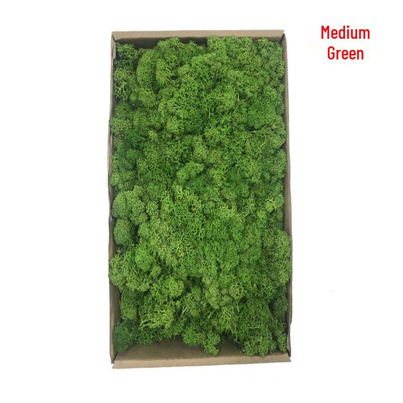Preserved Deer Antler Moss for Indoor Plant Walls and Display Decor