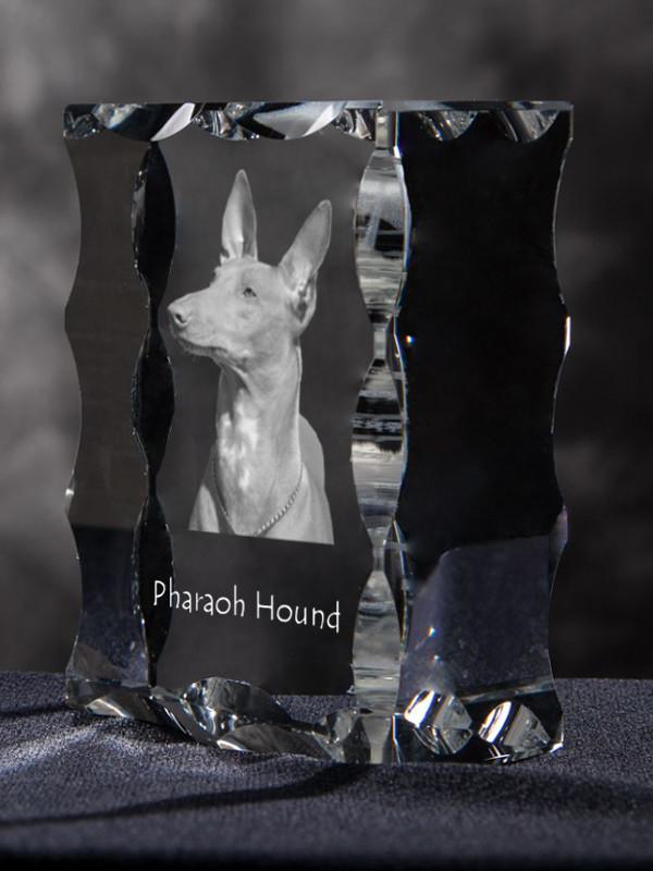 Pharaoh Hound, Kelb tal-Fenek - crystal with a picture of a dog, glass statuette with a picture, unique frame with a picture from Art-Dog brand