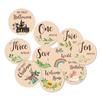 Wooden Baby Animal Milestone Cards for Monthly Photoshoots
