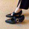 Sheepskin Version~ French Thick Heel Pointed Single Shoes Women's Shallow Mouth Versatile One-word Buckle Temperament Retro Mary Jane High Heels