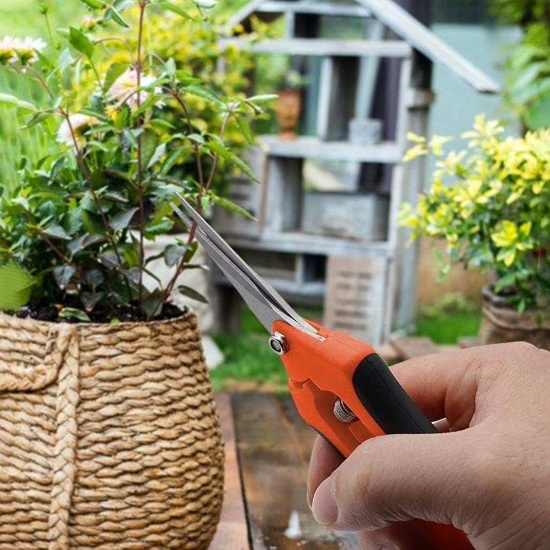 Нержавеющая сталь ветка обрезка фруктов садоводство обрезка фруктовых деревьев цветочная ветка садовые инструменты ножницы для цветочного сада