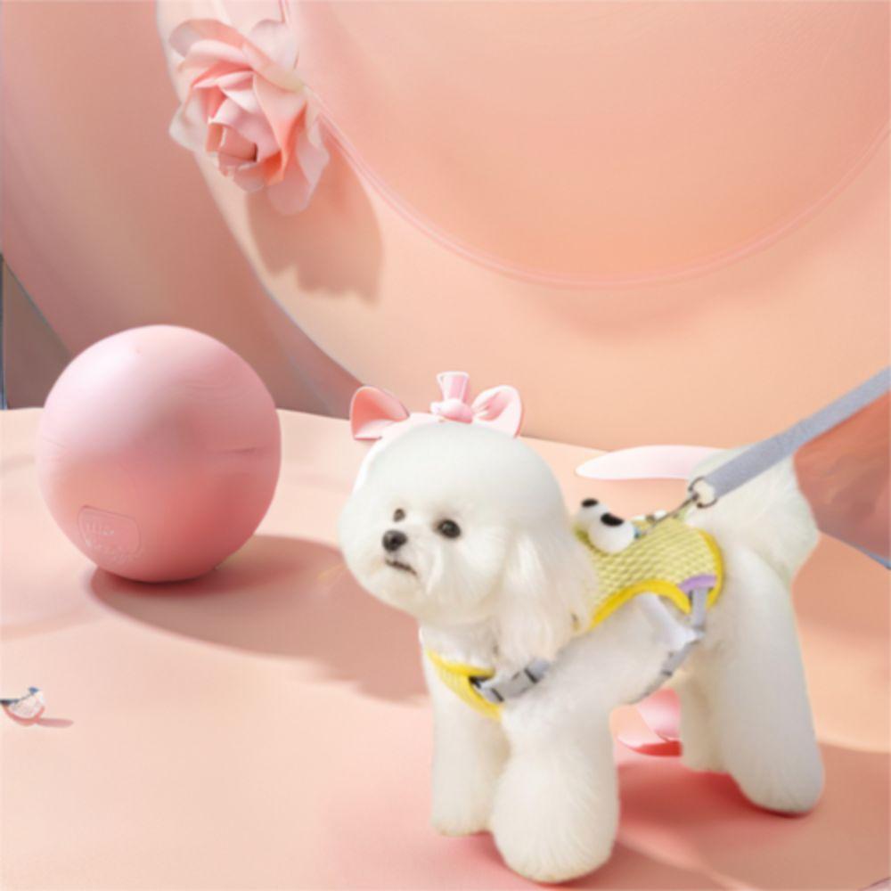 Cartoon Dog Harness Vest Breathable Cat Chest Straps Pet Supplies Pet Chest Harness Vest  Walking