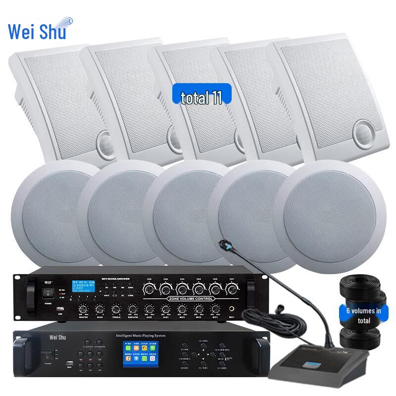 Weishu FD-390-H Conference Broadcast Audio System Set (CN version)