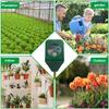 10-1PCS Mini Portable Hygrometer Tester Soil Moisture Temperature Meter Detector Garden Plant Flower Potted Soil Analyzer Tool