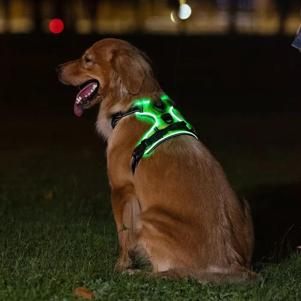 Light Up LED Dog Harness Rechargeable Flashing Luminous Pet Chest Strap Soft Padded Collar Dog Glow Vest for Night Walking