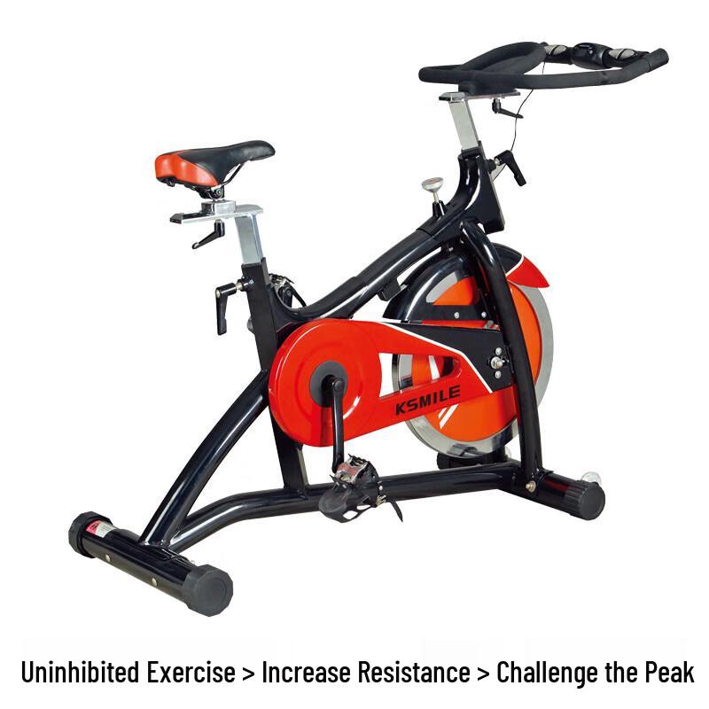 KangLeJia K9.2GE Home Spinning Bike (CN version)