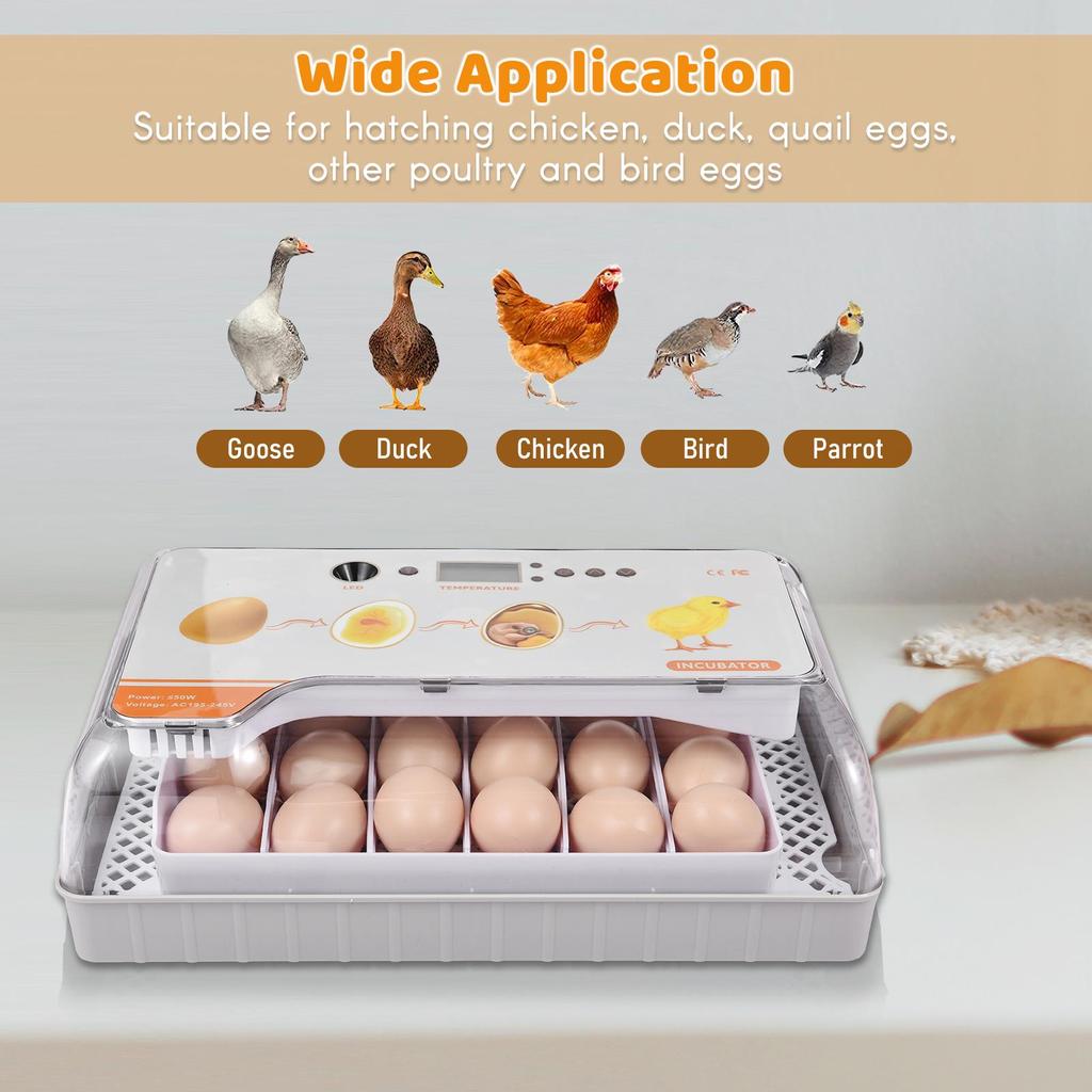 Digital Egg Incubator 20 Eggs Poultry Hatcher with Auto Egg Turning Temperature Control LED Light