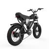 Ridstar Q20 integrated wheel All Terrain Electric Bicycle 1000W Men's E-Mountain ebike 48V17.5Ah Battery 20 Inch Wide Tyre women's Electric Bike