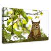 Canvas Print Cat Squirrel Forest Tree