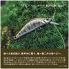 SHIMANO Trout Lure Cardiff Refrain 45XS Bottom Spec 003 Алюминий Chart G ZN-245X