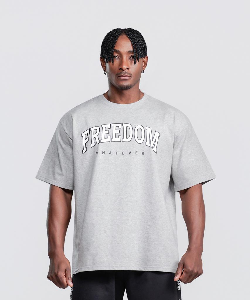 FREEDOM Arch Logo Semi-Oversized T-Shirt (Gray)