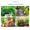 Water-Soluble Ferrous Sulfate Fertilizer for Acid-Loving Plants: Gardenia, Camellia, Azalea, Osmanthus - Anti-Yellowing Formula