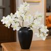 7 Heads Phalaenopsis Branch Real Touch Simulation Orchid Flowers Fake Flower  Party Favors