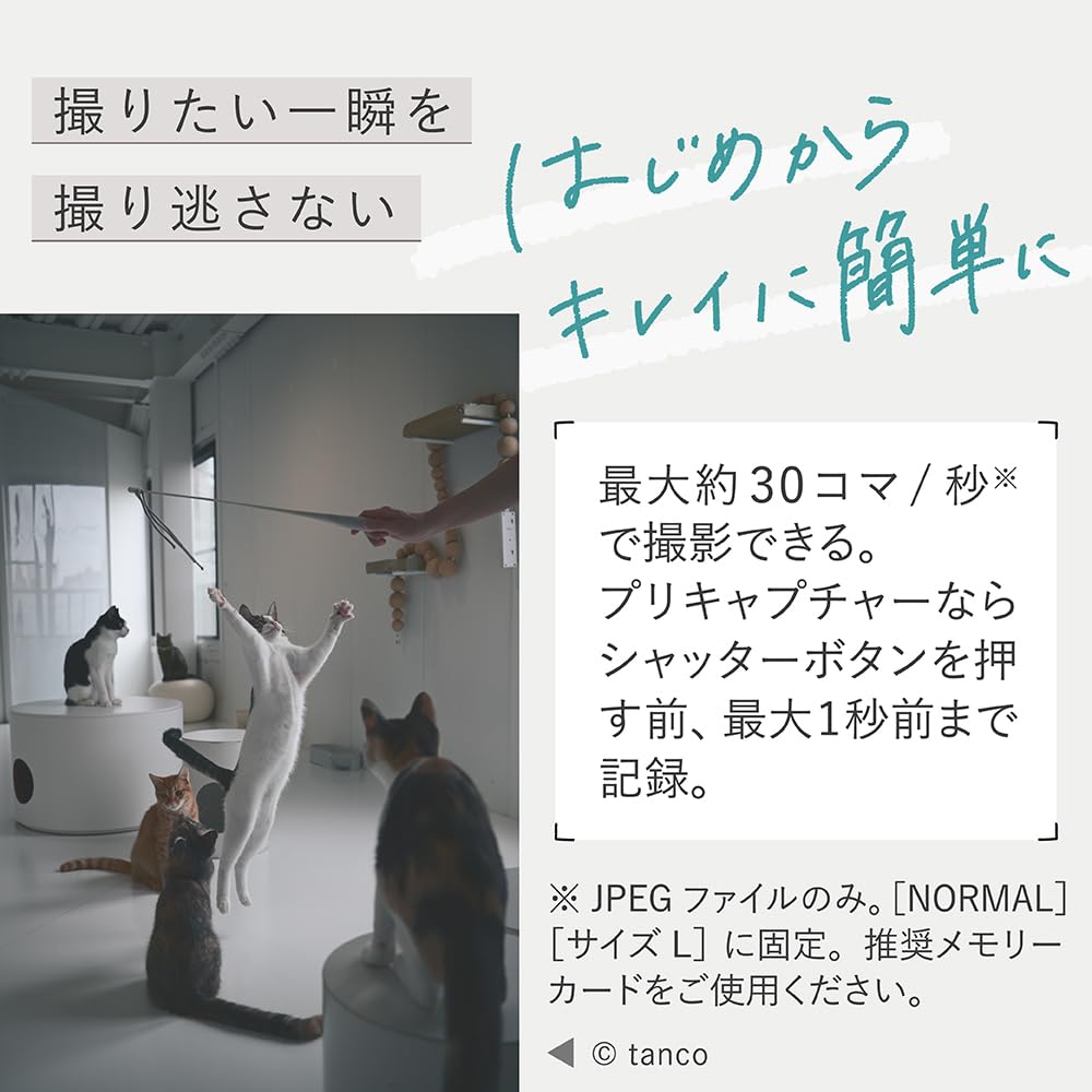 Nikon Беззеркальная камера с одним объективом Z50II корпус байонет Z APS-C