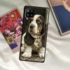 Чехол для телефона Бассет-хаунд для Samsung Galaxy A06 A16 A56 A36 A26 A54 A34 A14 A52 A32 A12 A13 A33 A53 A15 A35 A55