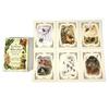 The Green Witch's Oracle Deck Embrace the Wisdom and Insight of Natural Magic Green Witch Witchcraft Series Tarot Cards