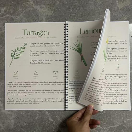 Справочник по травам 82 лекарственных растения Медицинское руководство по траволечению Растительные средства и рецепты Диспансер