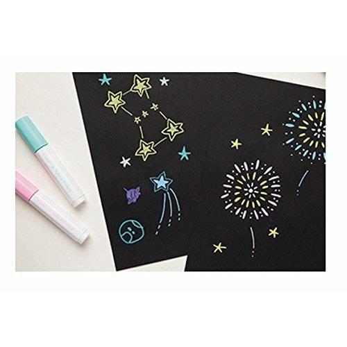 Pilot Water-based Pigment Marker Juice Paint Fine Point 12 Color Set SJP240FN-12C