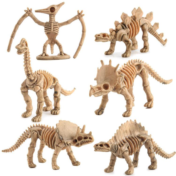 Explore The Fascinating World Of Dinosaurs With Our Durable Skeleton Model Toy Collection