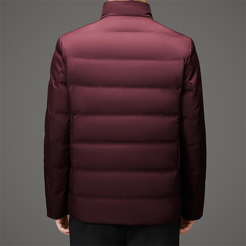 Пуховик мужской для молодежи и среднего возраста с воротником-стойкой, корейская версия, облегающий, повседневный, антибактериальный, теплый, куртка