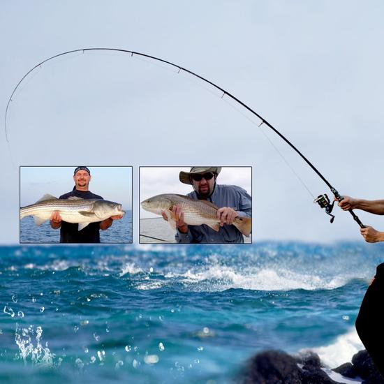 Телескопическая удочка