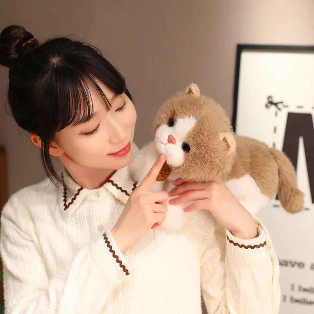 Stuffed Doll Simulation Cat Plush Toys Fluffy Animal Cartoon Kitty Dolls  Car Decor