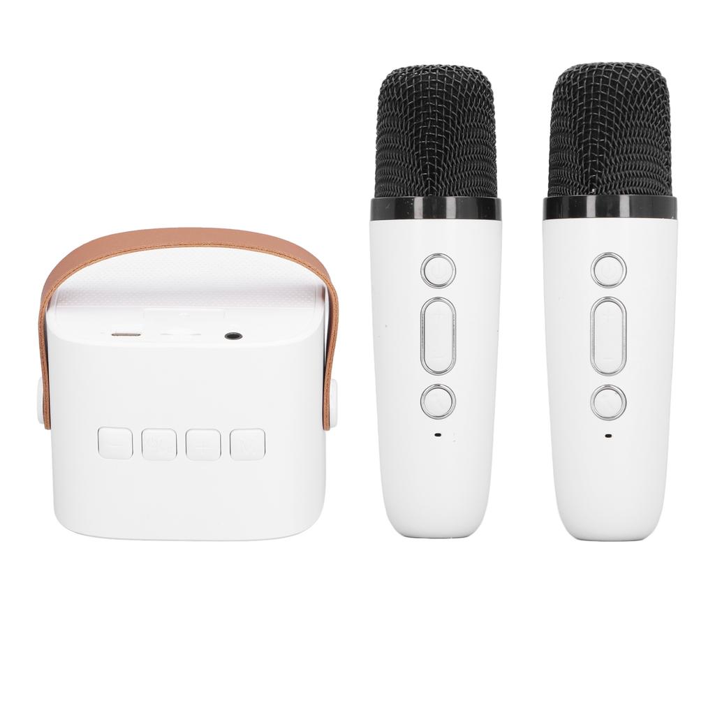 Детская караоке-машина Портативная Универсальная Долговечная Двойной микрофон Bluetooth-динамик для вечеринки