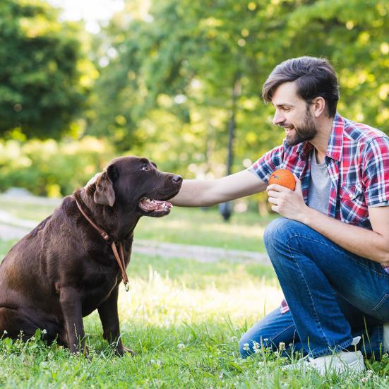 Интерактивный мяч для домашних животных, автоматический катящийся умный мяч, игрушка для собак, электрический прыгающий мяч со светодиодной подсветкой для маленьких/средних собак и кошек