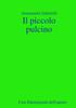 Книга Il Piccolo Pulcino
