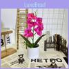 Butterfly Orchid Artificial Flower Bouquet For Home Decor And Arrangements Event