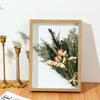 3D Wall-Mounted Solid Wood Photo Frame for Dried Flowers and Butterfly Specimens - Handmade DIY Display Stand