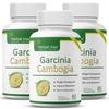 Капсулы Herbal Max с Гарцинией Камбоджийской с 60% ГКА | 60 капсул по 100 г 0,2 фунта в каждой упаковке из 3 штук