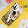 Beagle Dog Case For Samsung Galaxy A54 A34 A14 A13 A33 A53 A12 A32 A52 A71 A51 A15 A25 A35 A55 Cover