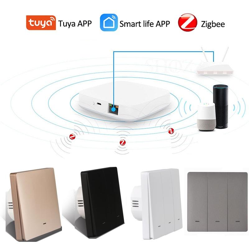 Zigbee Smart Life Double Pole 10A EU Standard Light Switch with Alexa Voice Control and PC Material for Smart Home