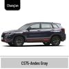 Changan CS75 Andes Gray Touch-Up Paint Pen for Car Scratches