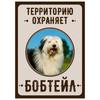 Металлическая табличка «Осторожно, злая собака», табличка на забор или дверь 18x25 см