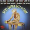 CD STEEL GUITAR HALL OF FAME - Steel Guitar Hall of Fame  NA730032 Nashville 2013 US Music Others Used