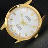 REFURBISHED GENTS MONTINE 17 JEWELS WINDING SWISS GOLD PLATED WATCH A285406-12 Montine-a285406-3
