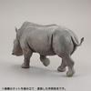 Kaiyodo ART PLA Набор «Смотритель зоопарка и белый носорог», Неокрашенный и несобранный пластиковый набор для моделирования AP006